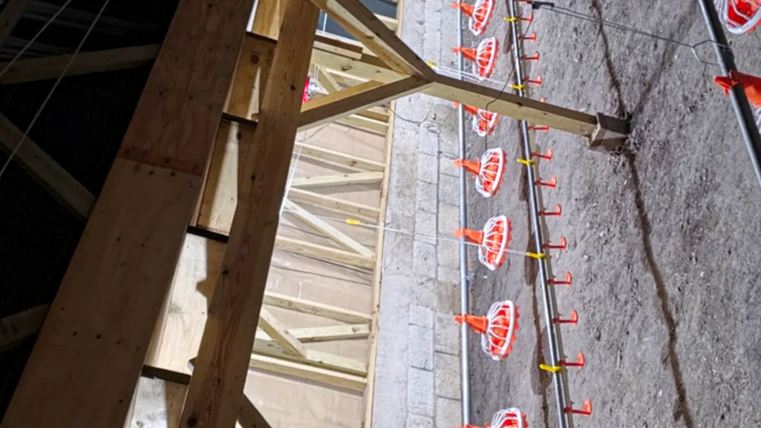 Inside the coop — mezzanine deck, feed and drinker lines