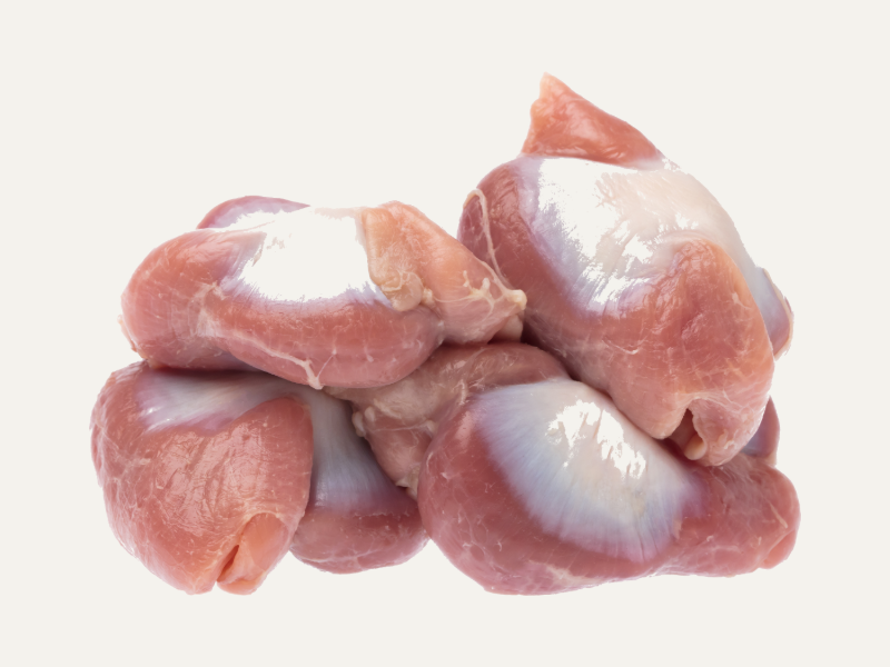 Gizzard